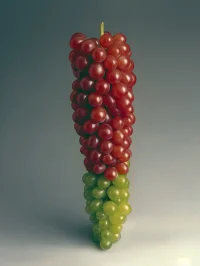 The Company You Keep