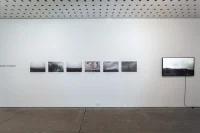 The Company You Keep