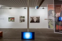 The Company You Keep