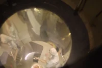 The Company You Keep