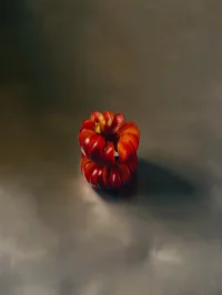 The Company You Keep