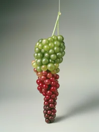 The Company You Keep