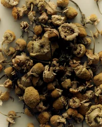 The Company You Keep