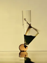 The Company You Keep