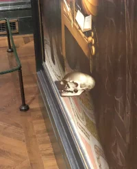 The Company You Keep