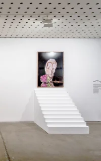 The Company You Keep