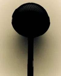 The Company You Keep