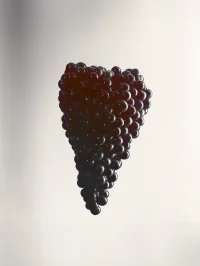 The Company You Keep