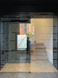 The Company You Keep