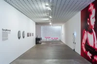 The Company You Keep