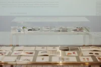 The Company You Keep