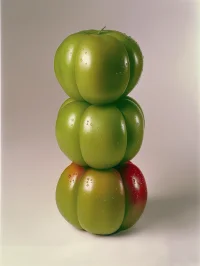 The Company You Keep