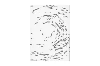 The Company You Keep