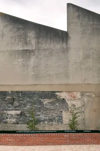 The Company You Keep