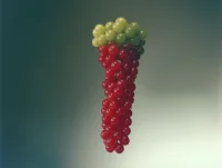 The Company You Keep