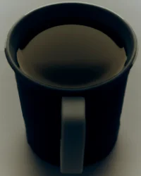 The Company You Keep