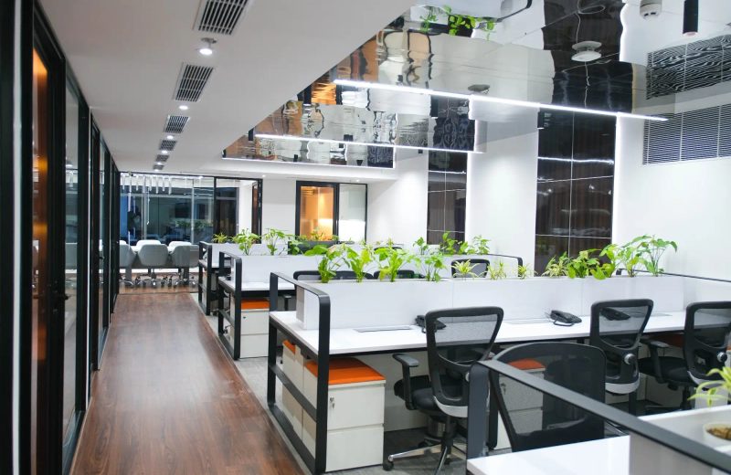 Fresenius Kabi Gurgaon Office Design