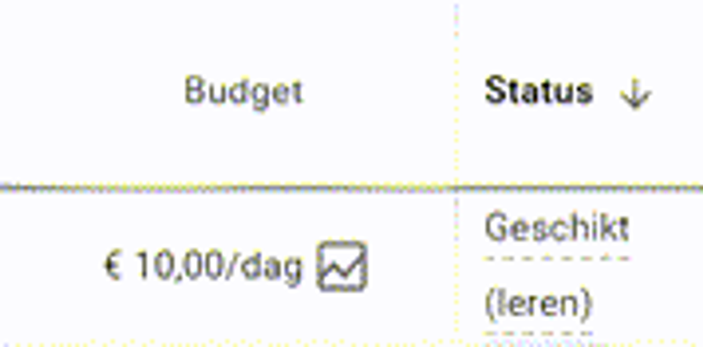 Google's smart bidding-algoritme