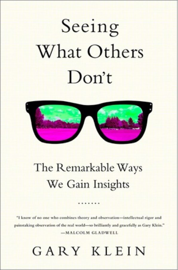 Seeing What Others Don't, by Gary Klein