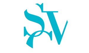 School of Visual Concepts logo
