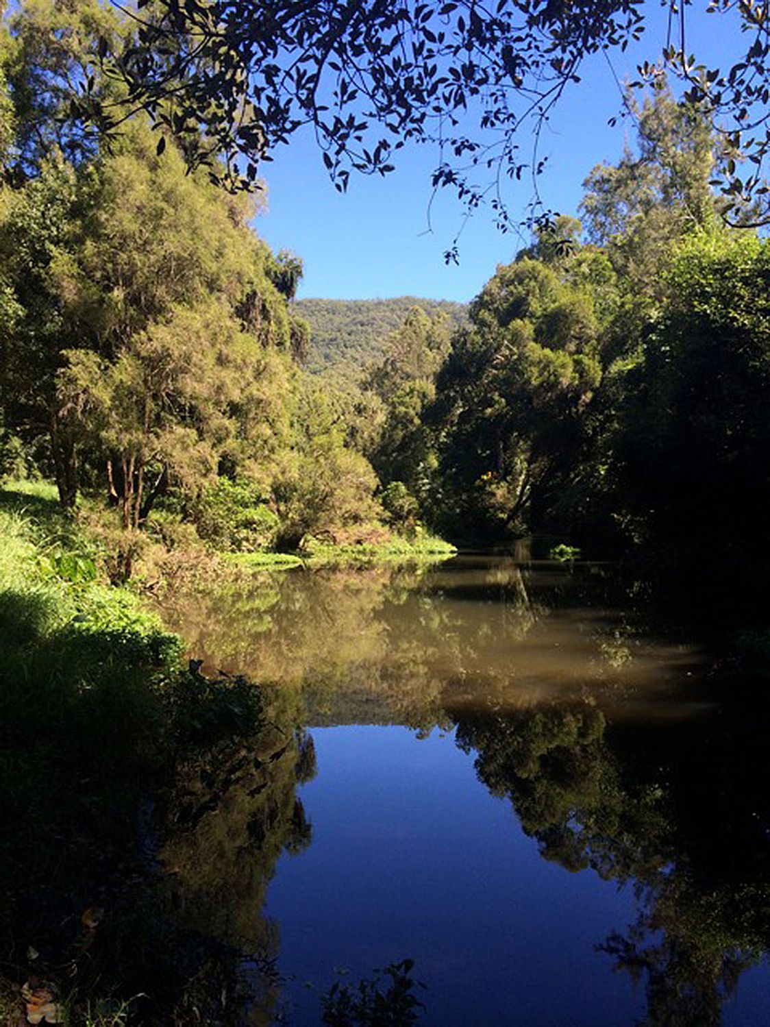 Winten Grand Views, Canungra Rise