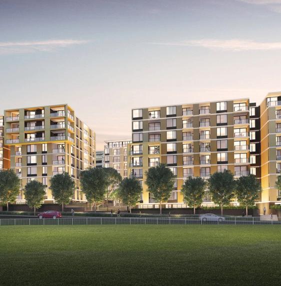 Park Rise