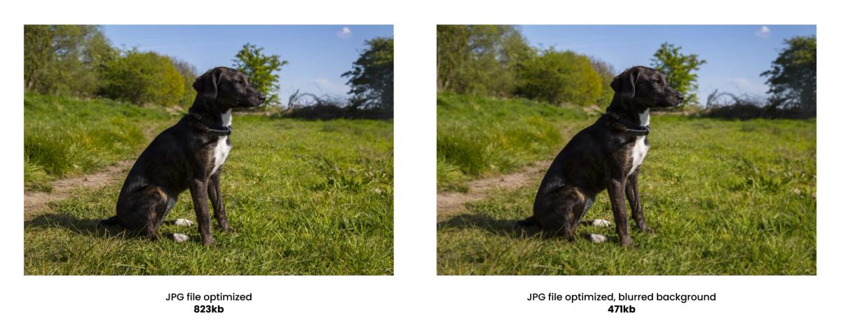 Comparison of two same pictures with a puppy sitting on the grass. One image is evenly sharp. In the other picture, its background is a little bit blurred.