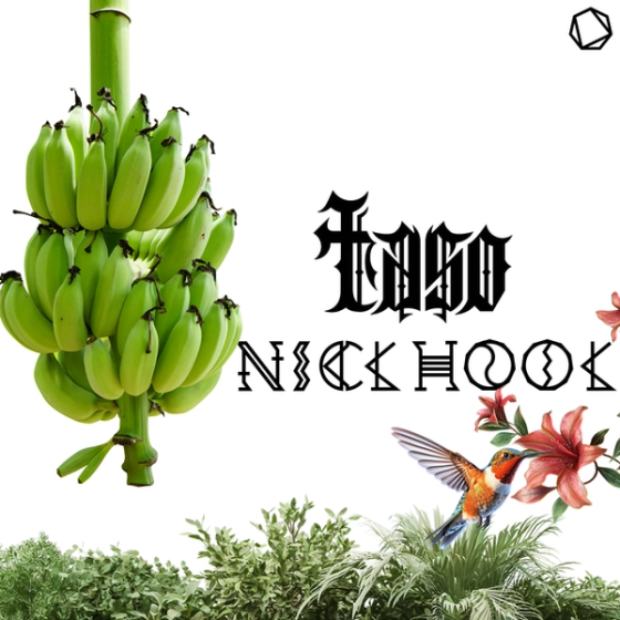 TASO + NICK HOOK JUNGLE JUICE v.1 MINIMIX