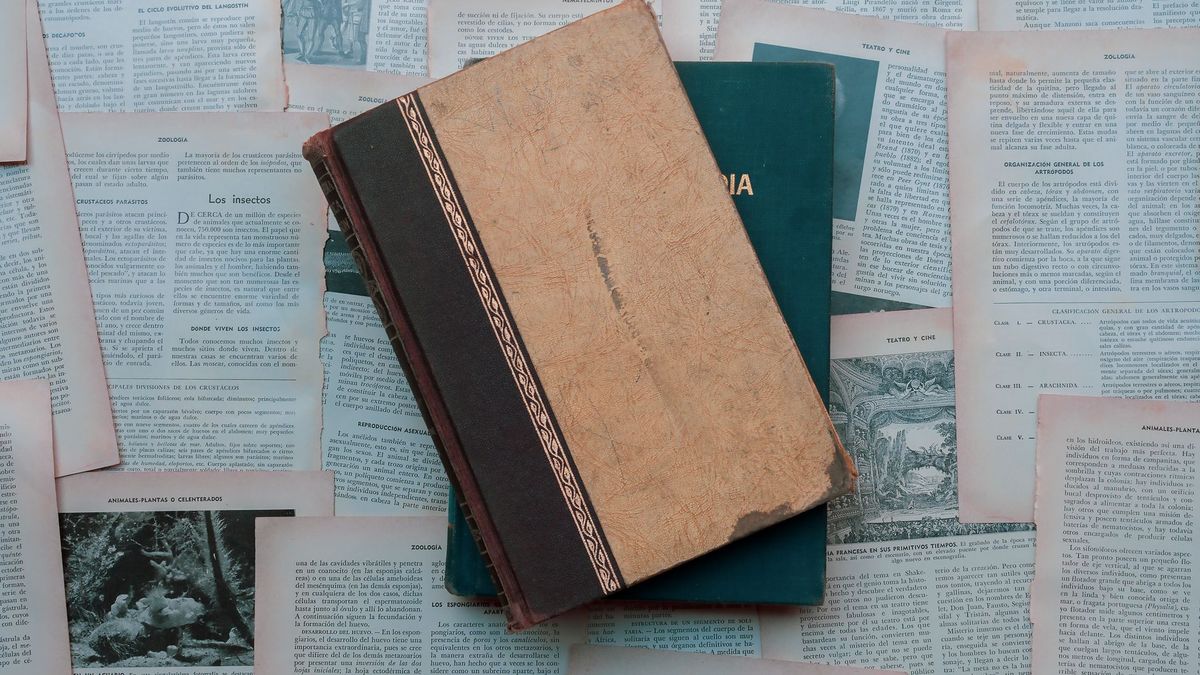 What the Public Domain Reveals About Culture’s Second Life
