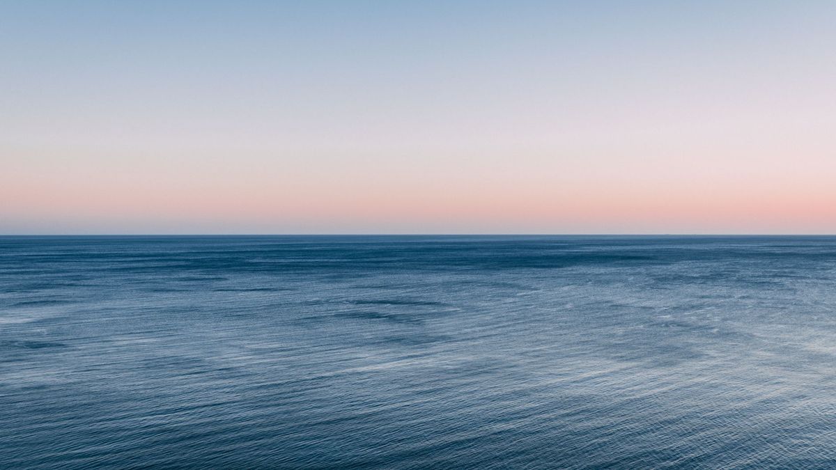 What the High Seas Treaty Changes for the Ocean Beyond Every Country’s Borders