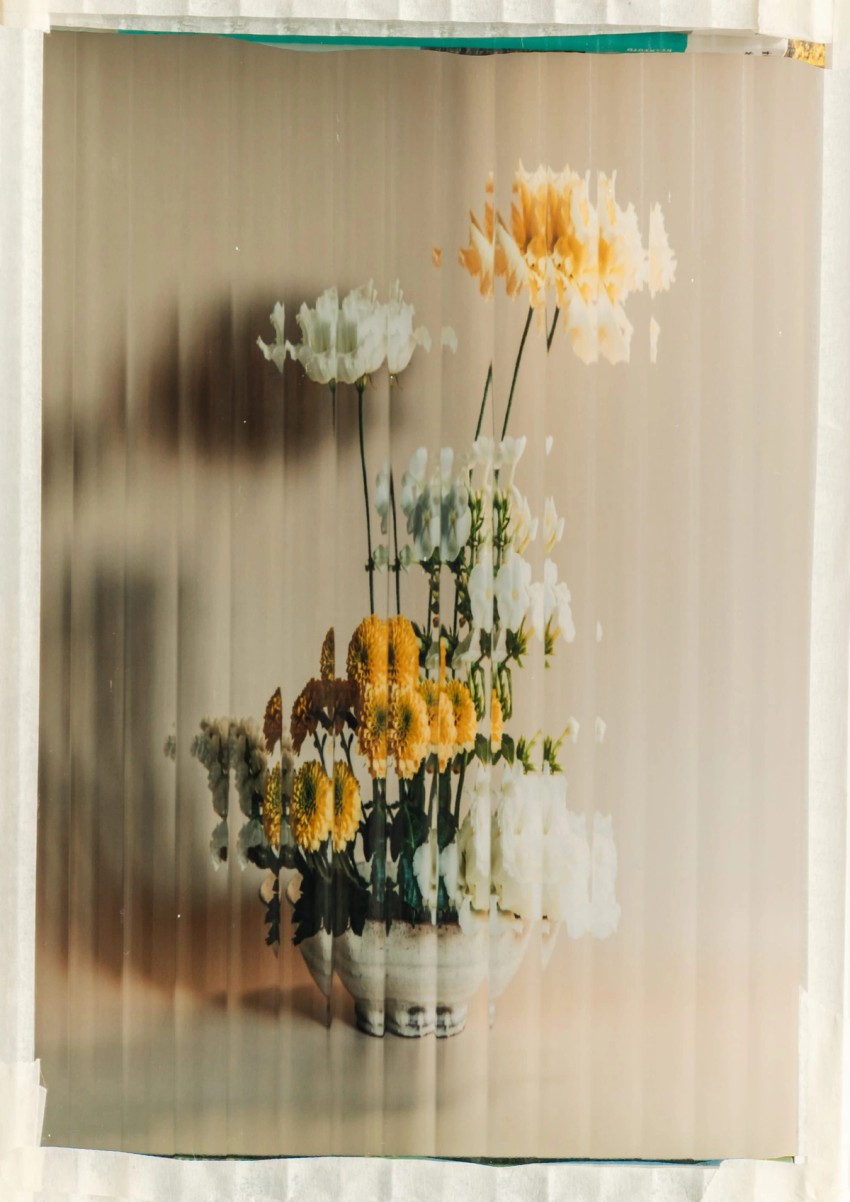flora by India Hobson