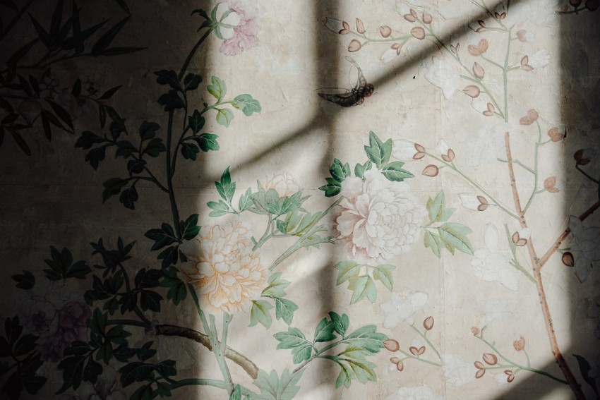 exhibitions and galleries by India Hobson