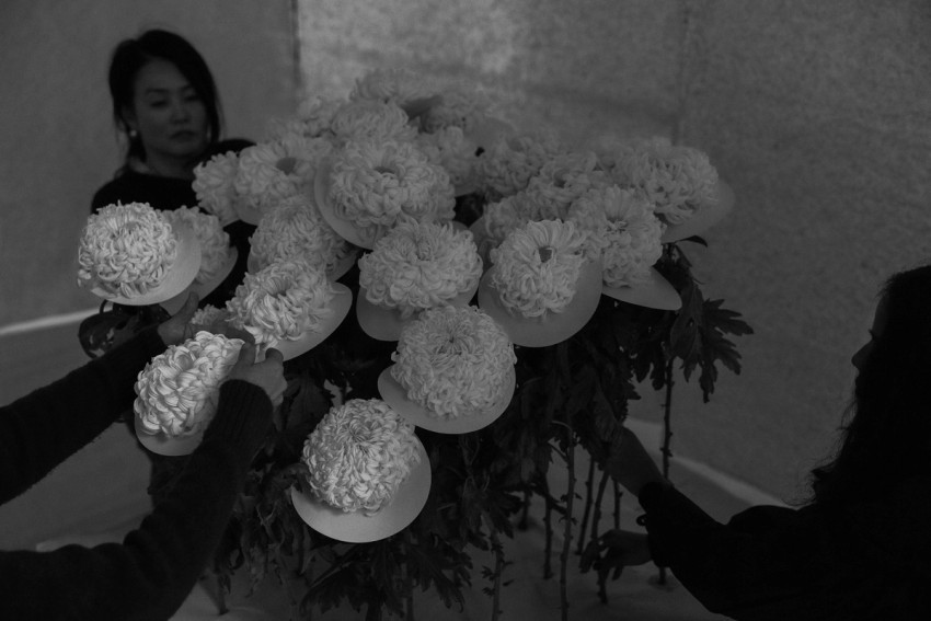 Chrysanthemum by India Hobson