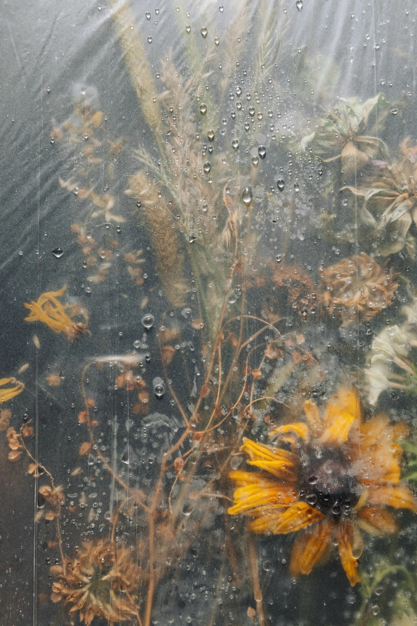 polytunnel paintings by India Hobson