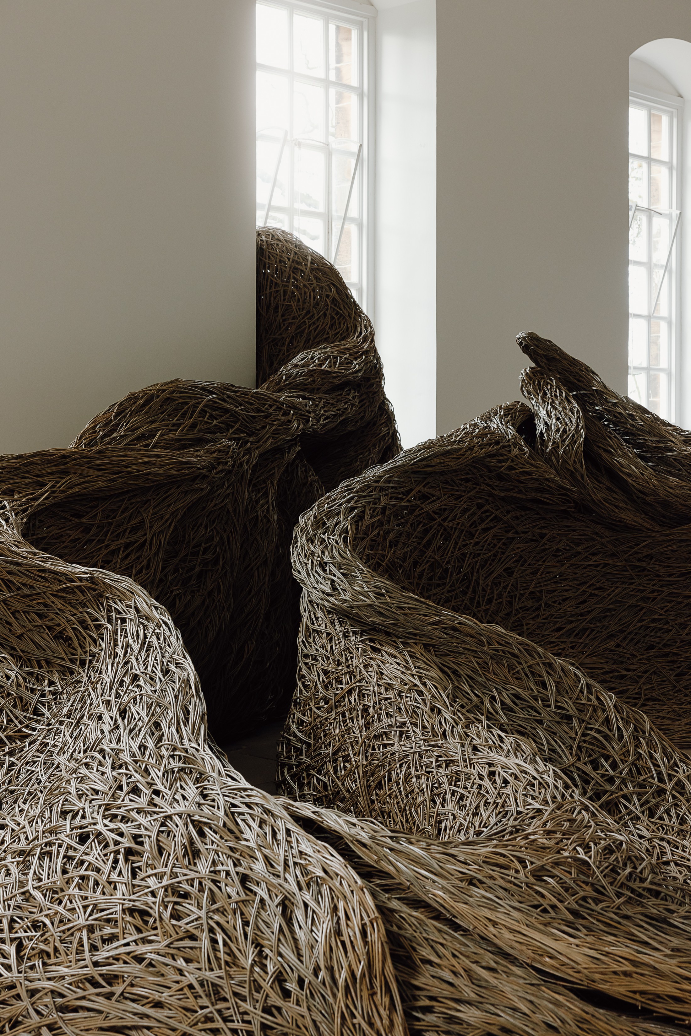 exhibitions and galleries by India Hobson