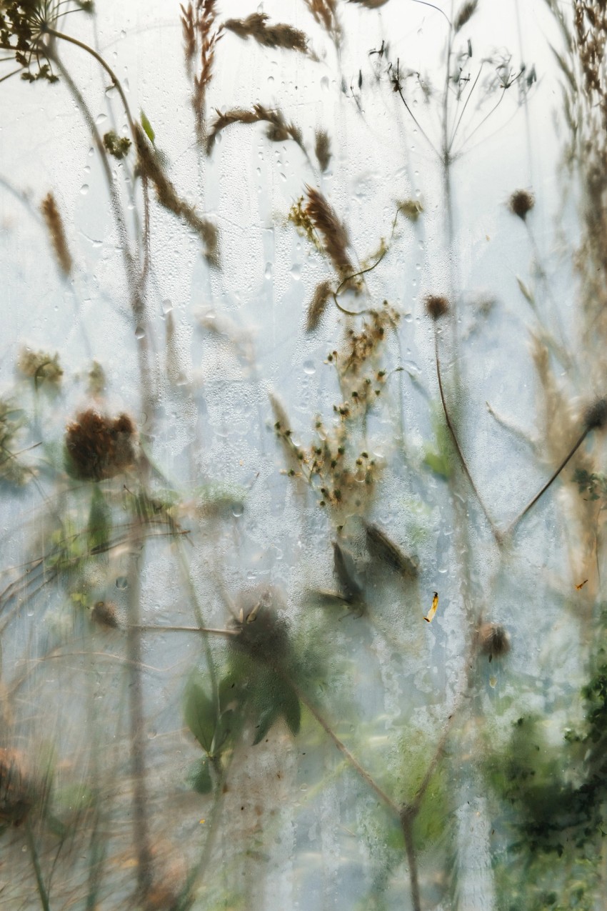 polytunnel paintings by India Hobson