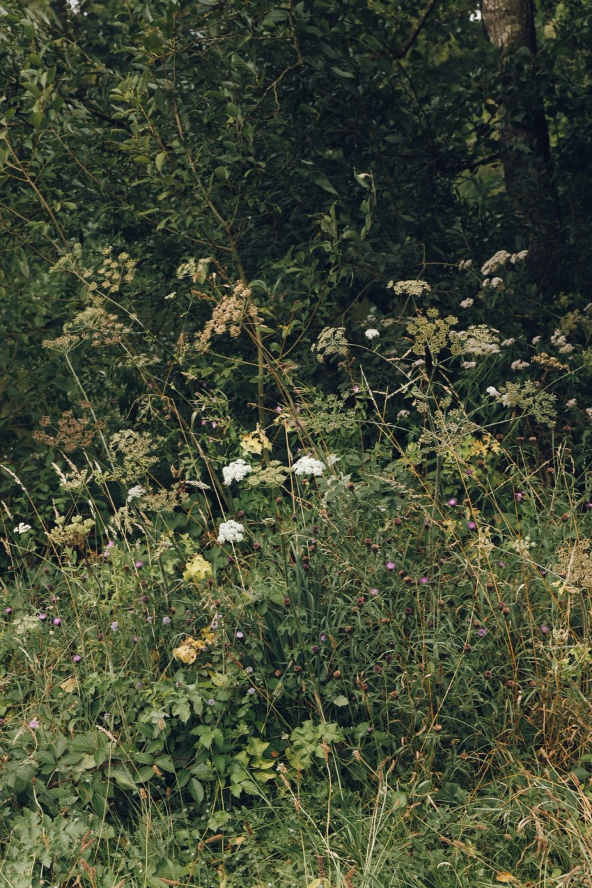 Settle Norfolk by India Hobson
