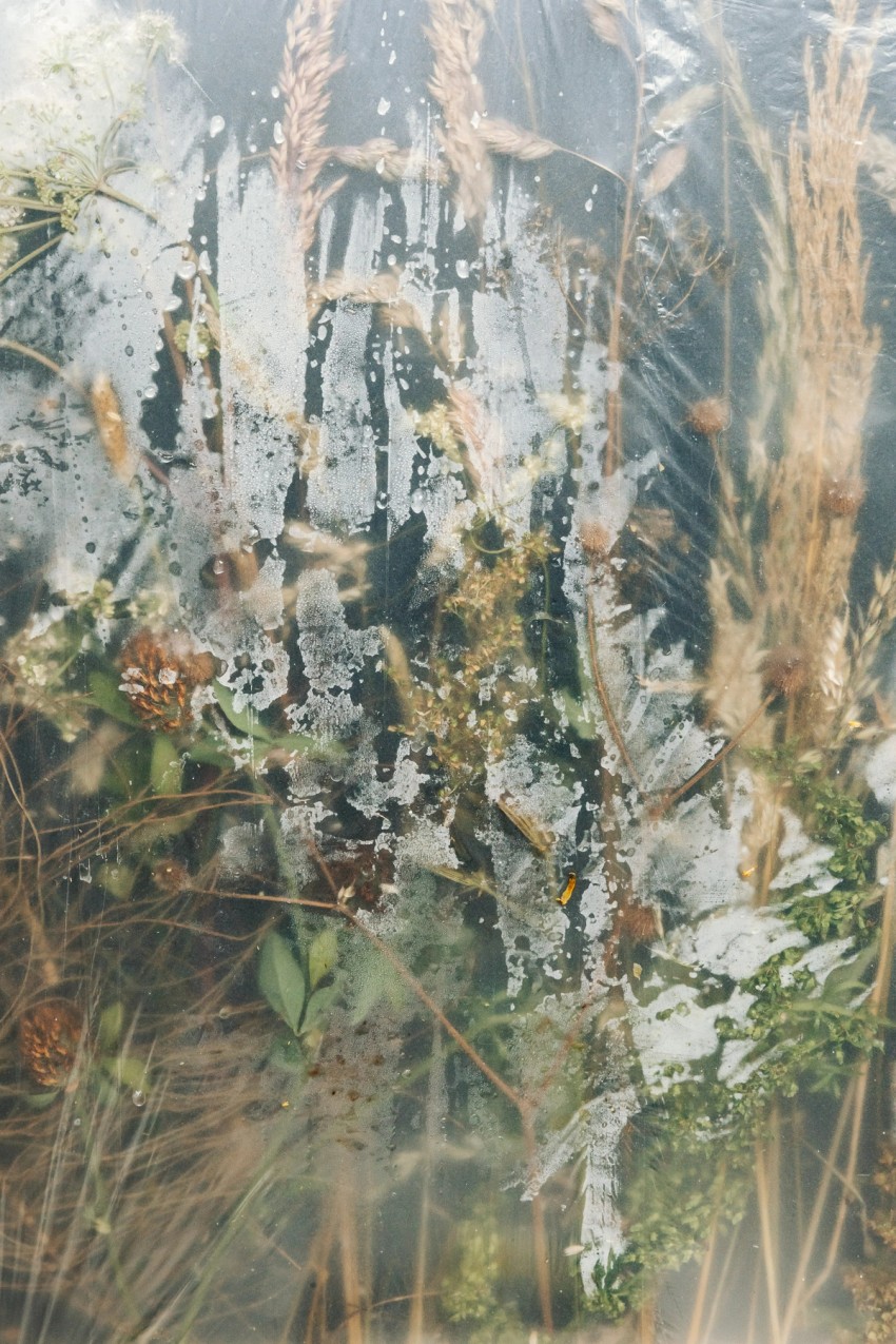 polytunnel paintings by India Hobson