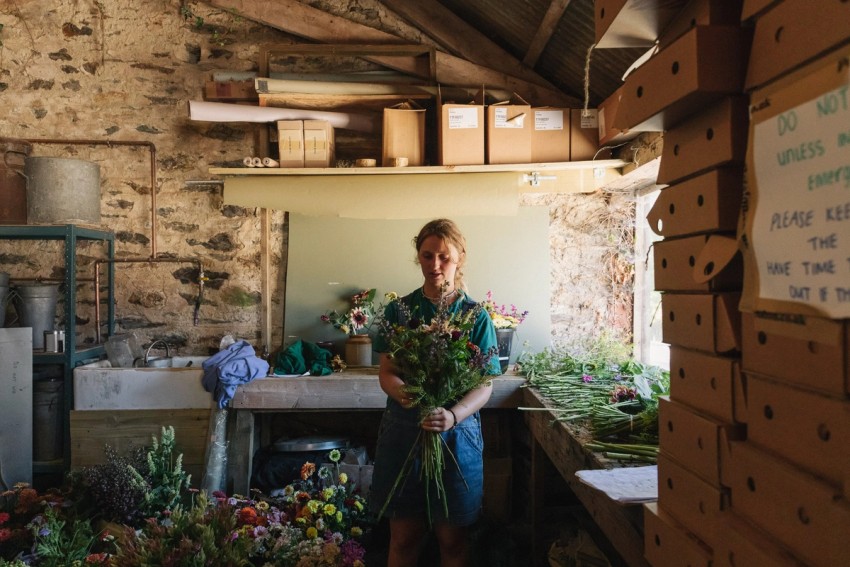 Petalon Flowers by India Hobson