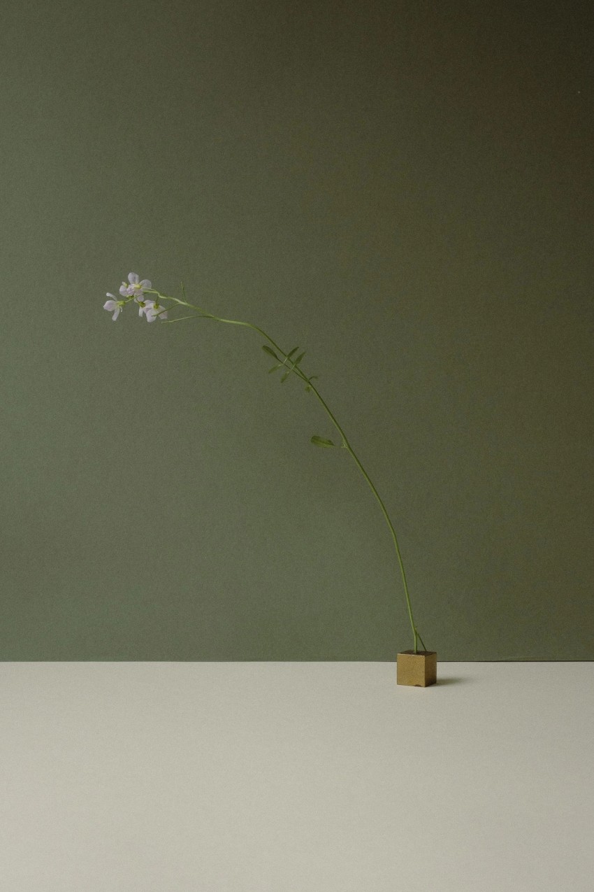 flora by India Hobson