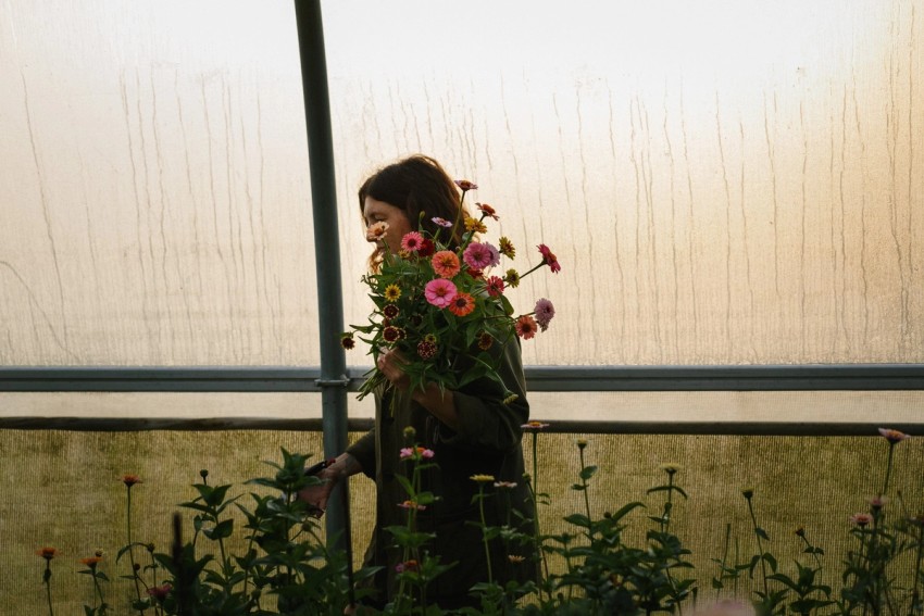 Petalon Flowers by India Hobson