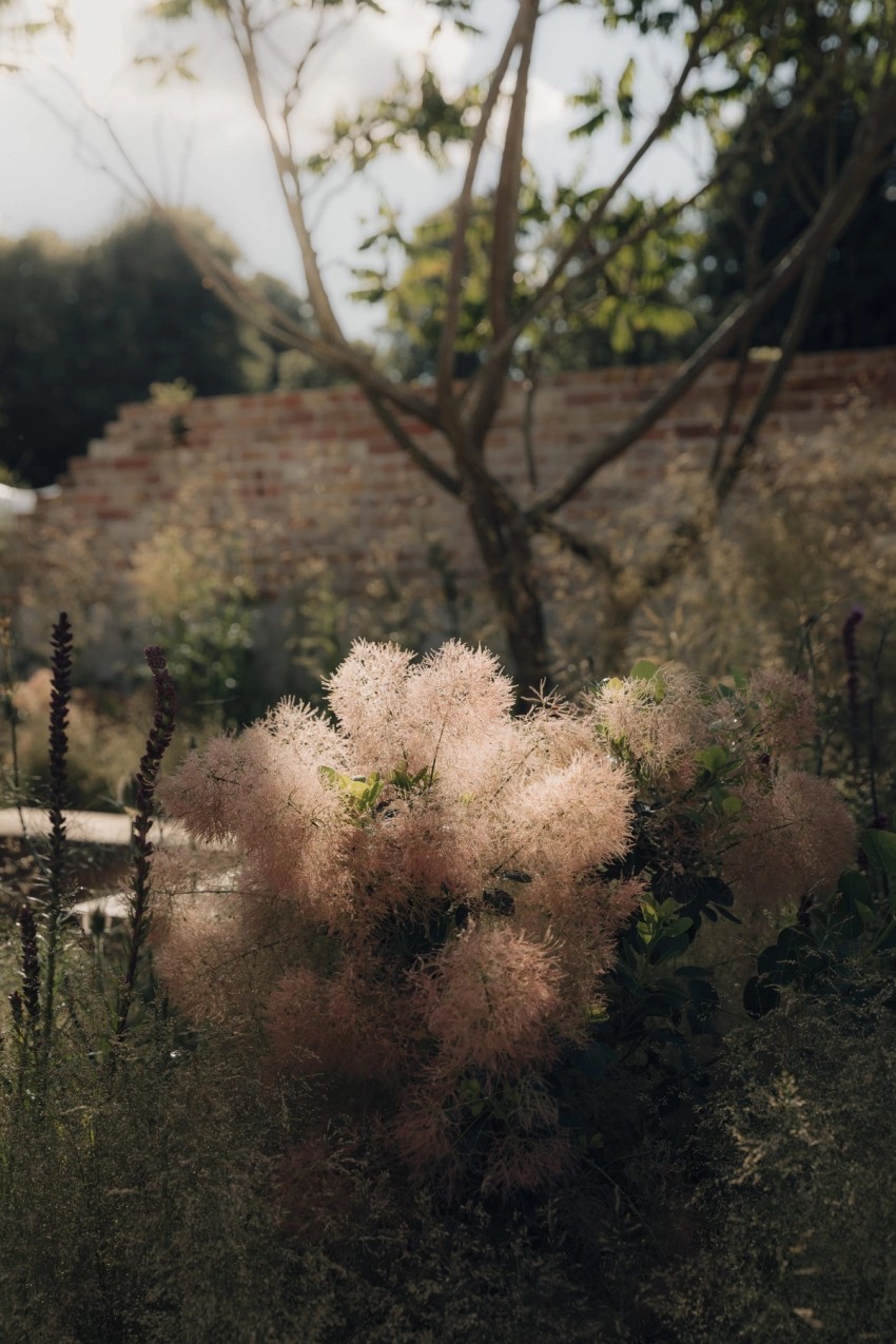 gardens & green by India Hobson