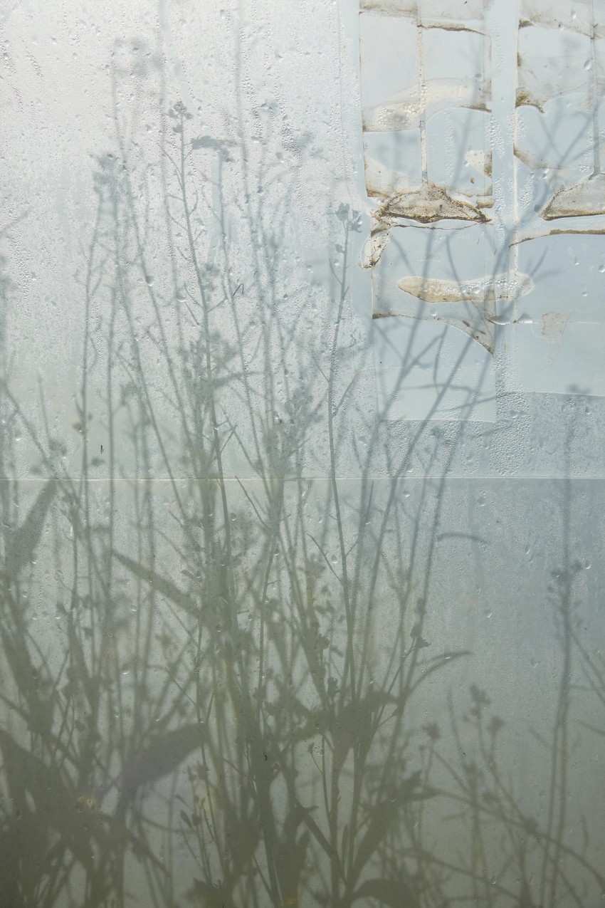 polytunnel paintings by India Hobson