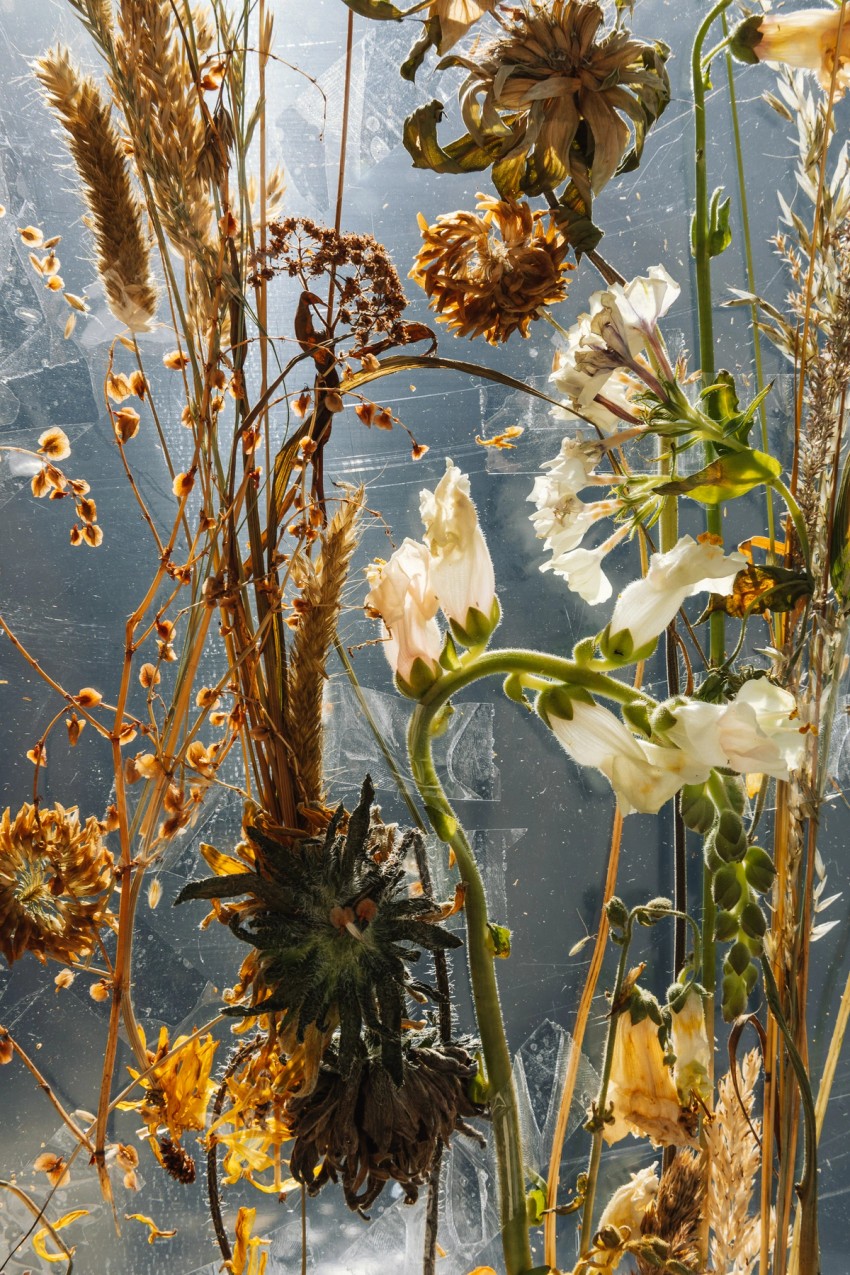 polytunnel paintings by India Hobson