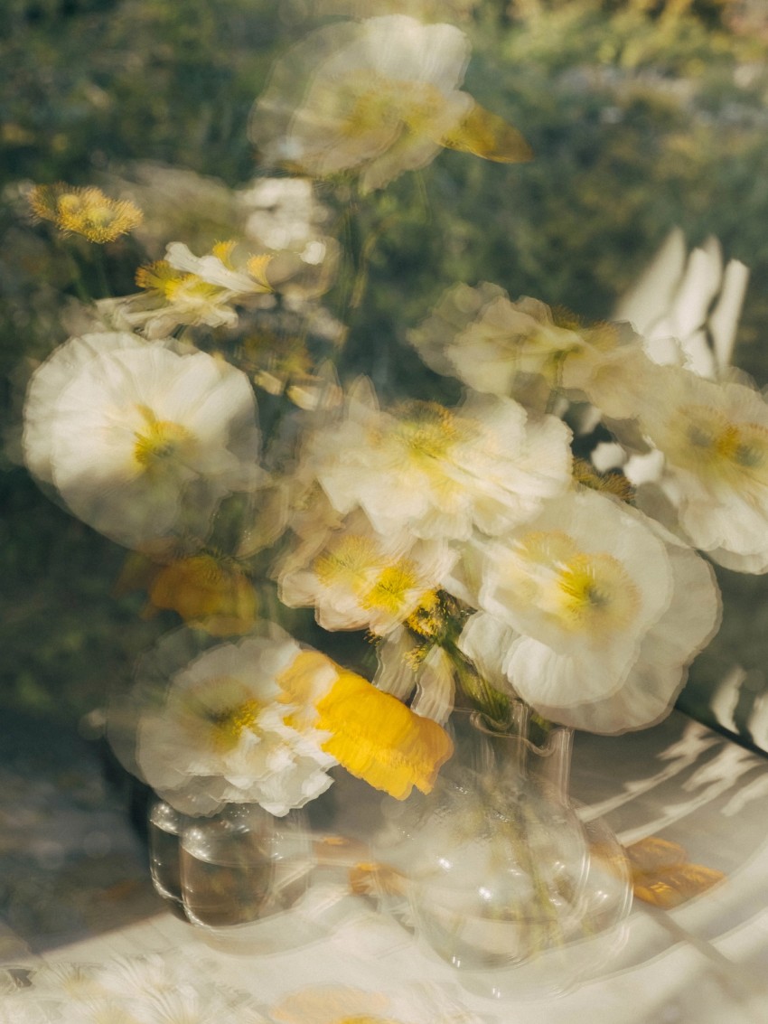 flora by India Hobson