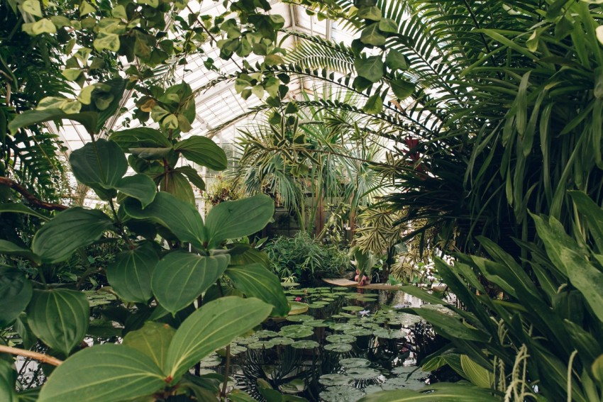 gardens & green by India Hobson