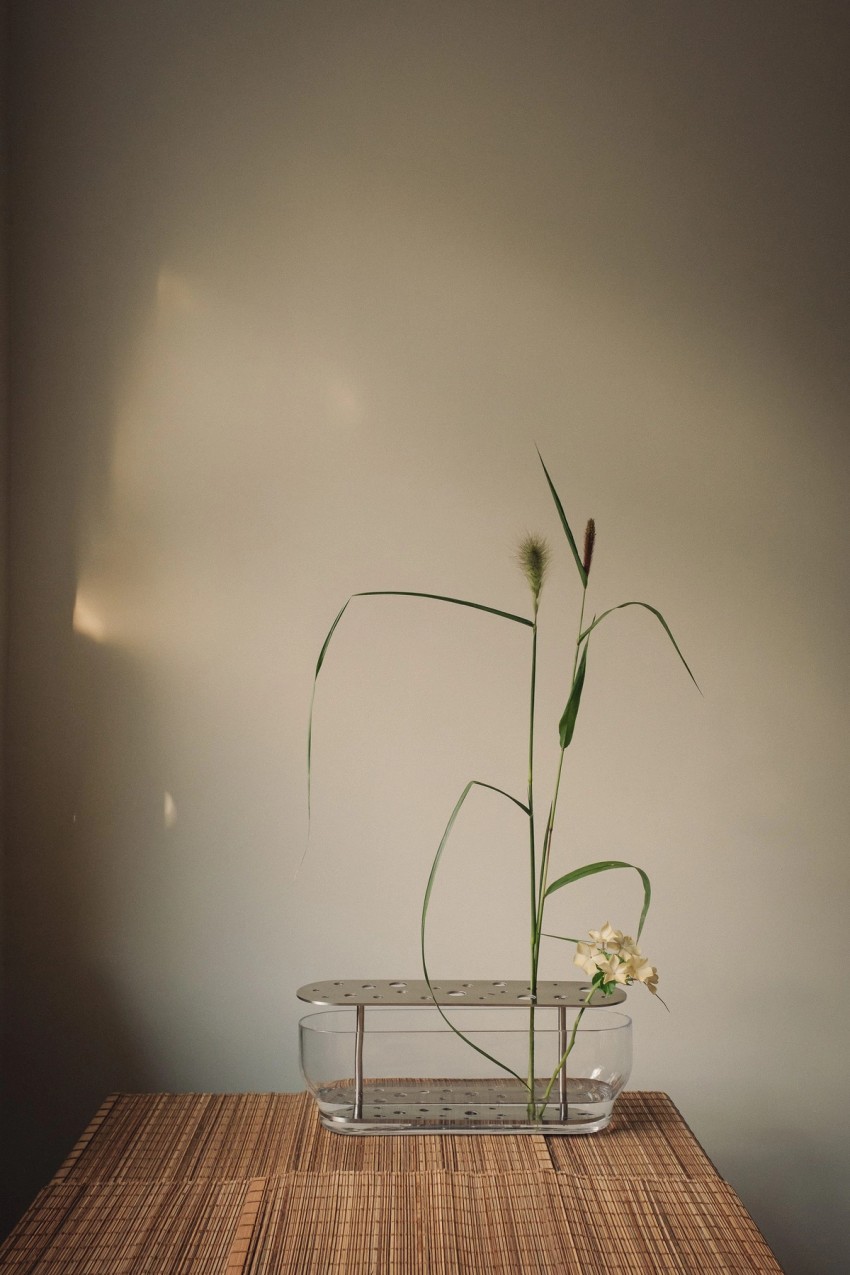 flora by India Hobson