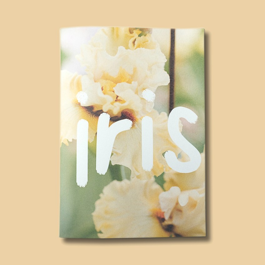 commissions by India Hobson