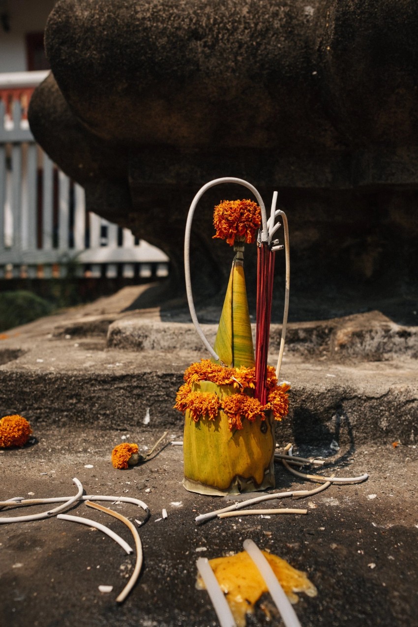 arranging things by India Hobson