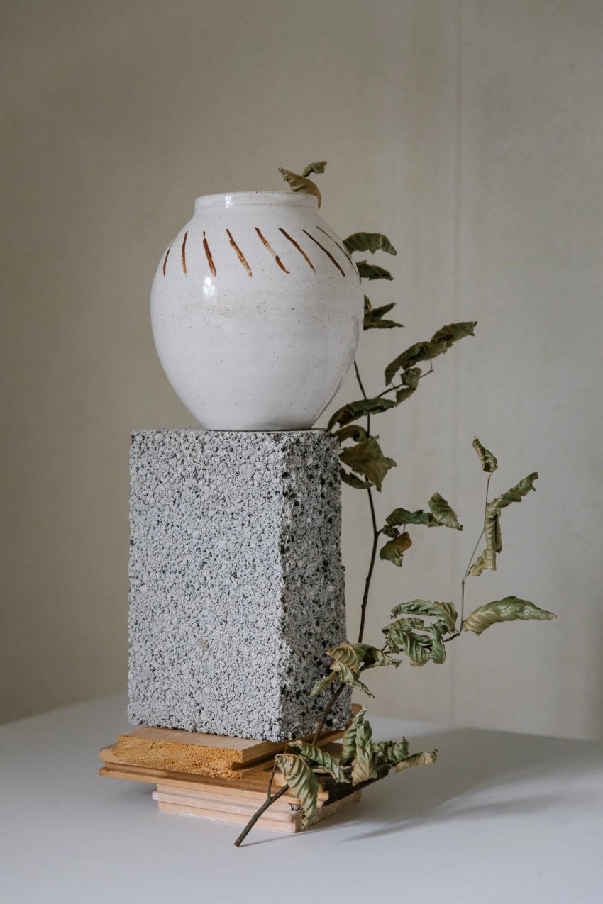 still life & object by India Hobson